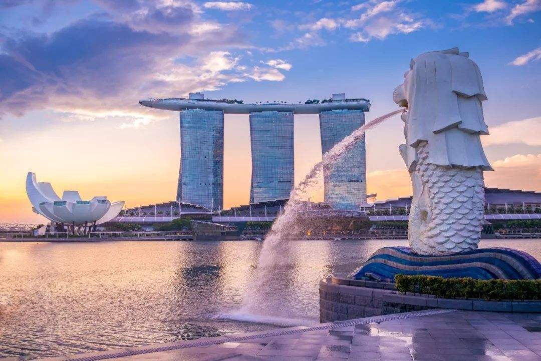 新加坡本科留学条件